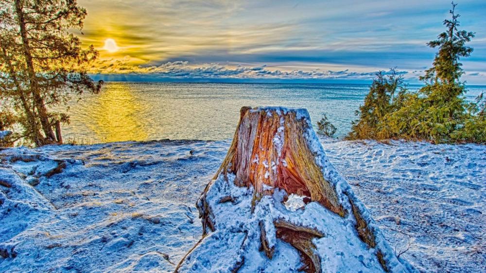 lake-tree-winter-snow-sundown-stump-shore-district-wallpapers.thumb.jpg.9225d2ac476a65f411b4d157cdf23c33.jpg