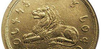Gold coin with lion