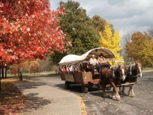 A Horse Drawn Wagon goes through Nauvoo