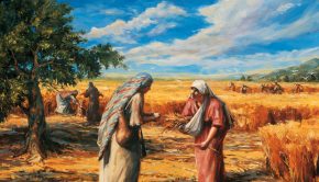 Gospel Doctrine Lesson 19:ruth gleaning the fields
