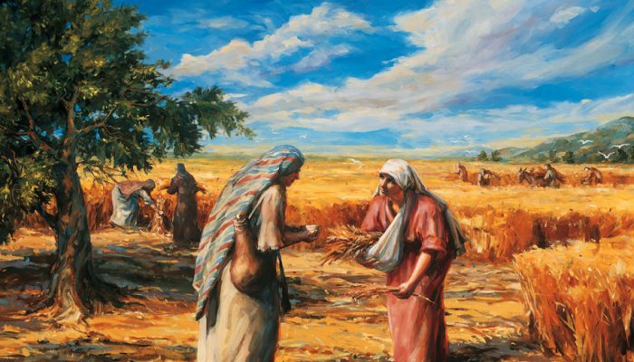 Gospel Doctrine Lesson 19:ruth gleaning the fields
