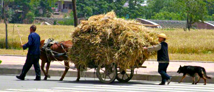 China Cart