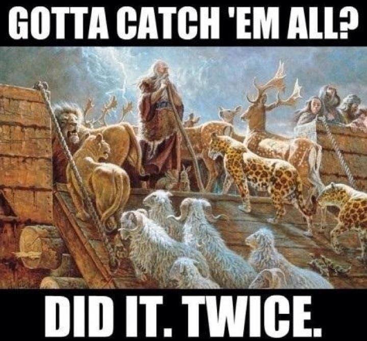 Noah Pokemon