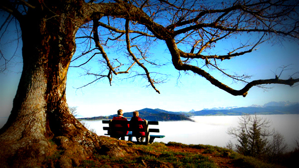 Parents on a bench
