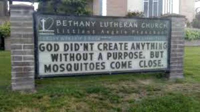 God didn't create anything without a purpose, but mosquitoes come close