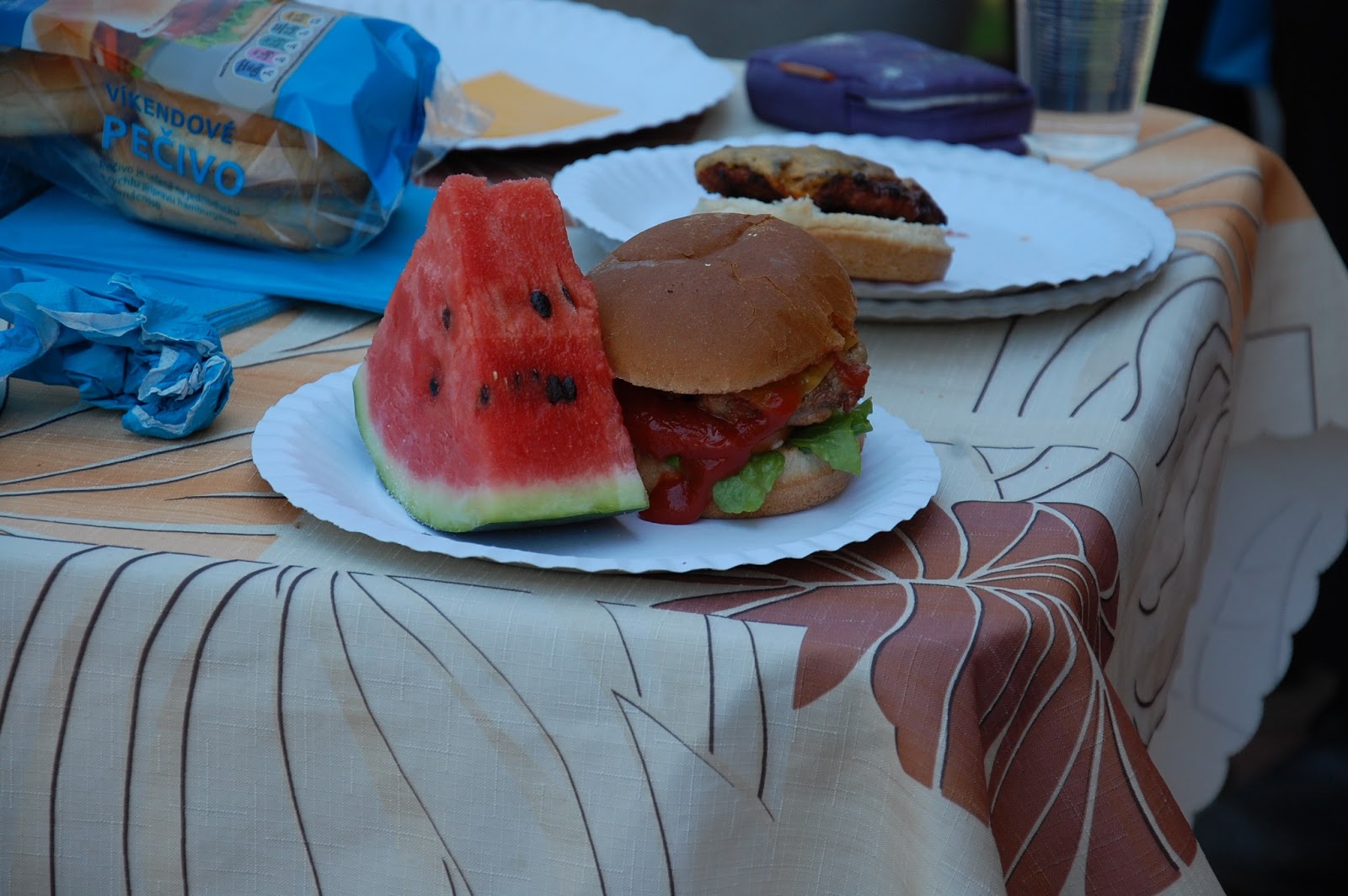 4th of July picnic