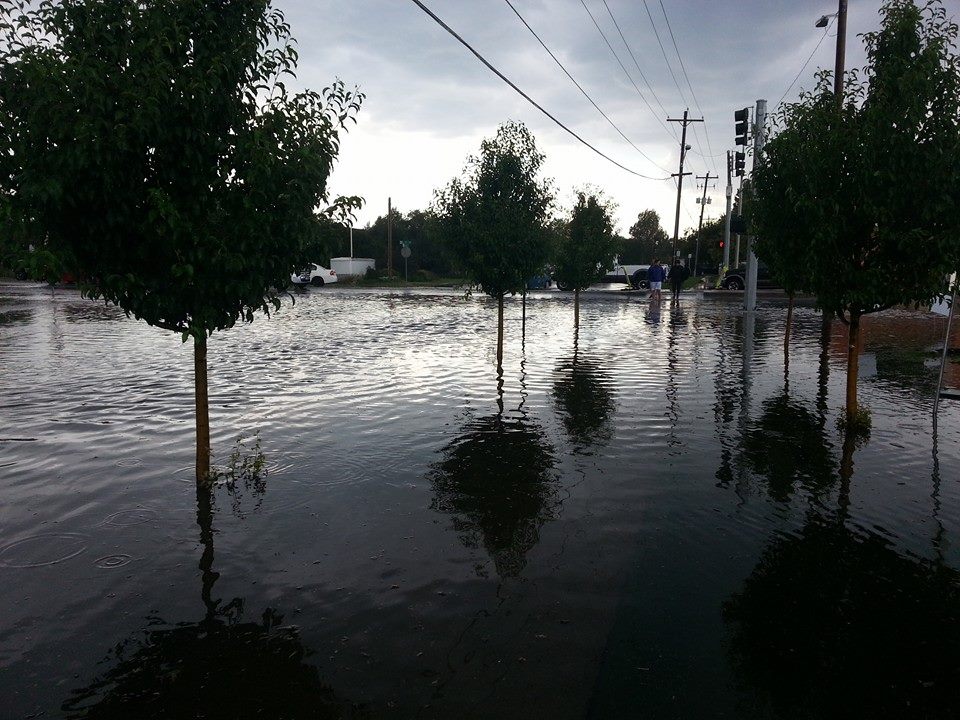 Flood, water, trees