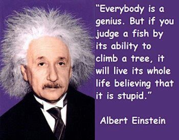 Albert Einstein quote on judging others