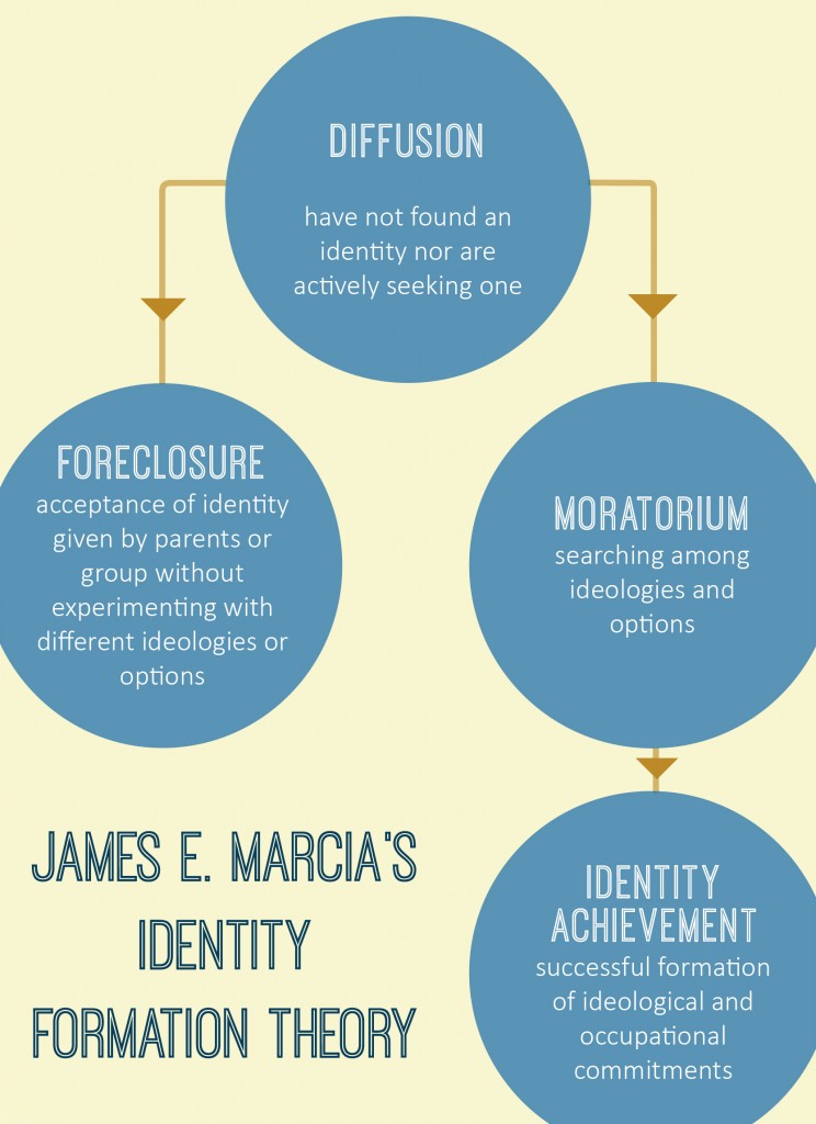 Identity Formation Theory meme