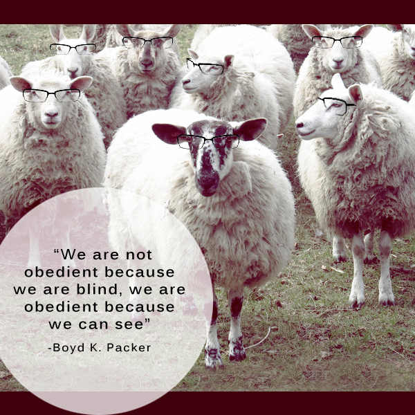 smart sheep believe