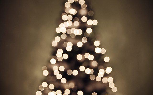 Out-of-focus image of a Christmas tree with lights.