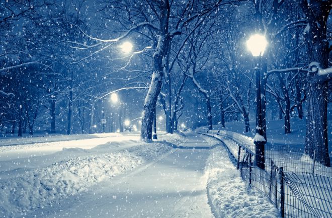 Winter suburban landscape at night. 