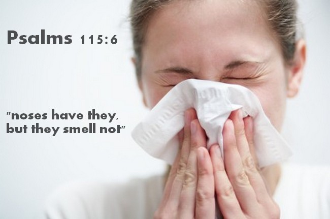 Scriptural Kleenex tissue message, noses have they, but they smell not