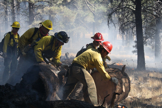 firefighters fighting a forest fire