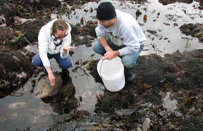 Two marine biologists investigating a tide pool