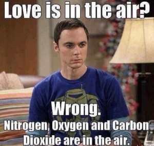 Big Bang Theory love