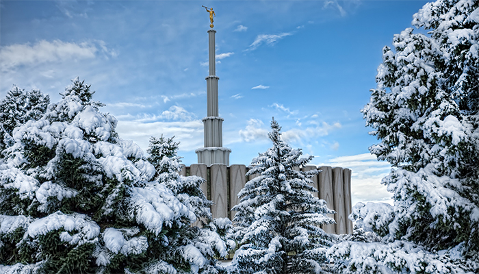 Snowy trees near the Provo temple