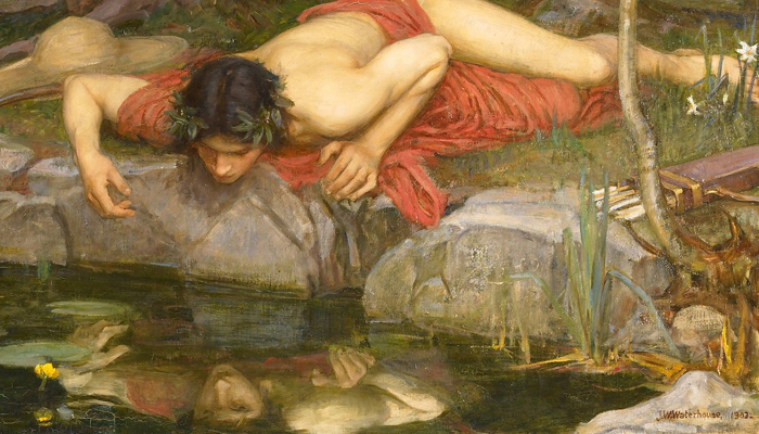 Narcissus