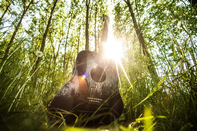 A guitar in a grove of trees on a sunny day