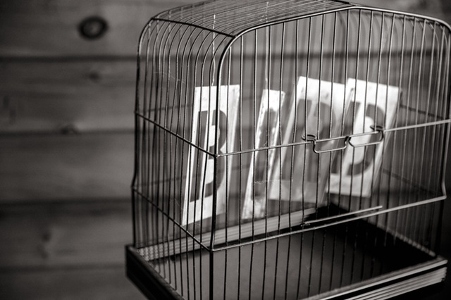 black-and-white-bird-birdcage-cage