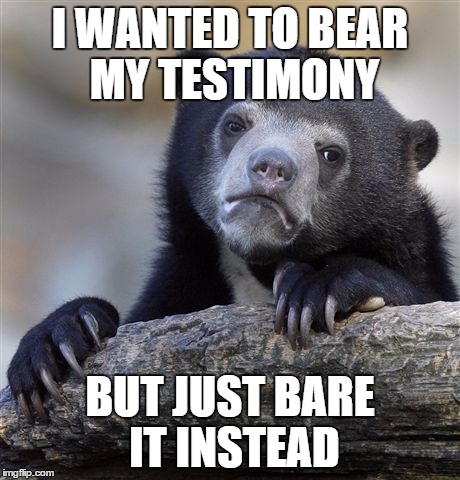 Bear Testimony