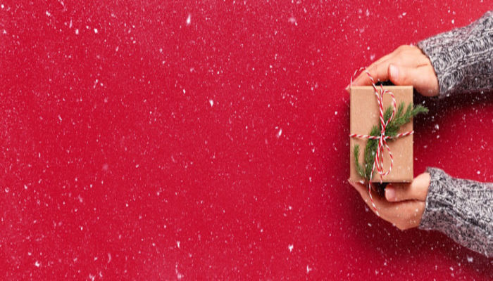 Person's hands holding small Christmas gift