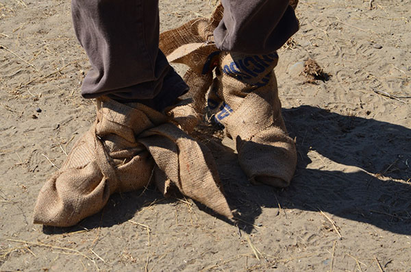 Potato Sack Shoes