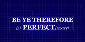 Perfectionist title graphic