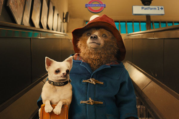 paddington