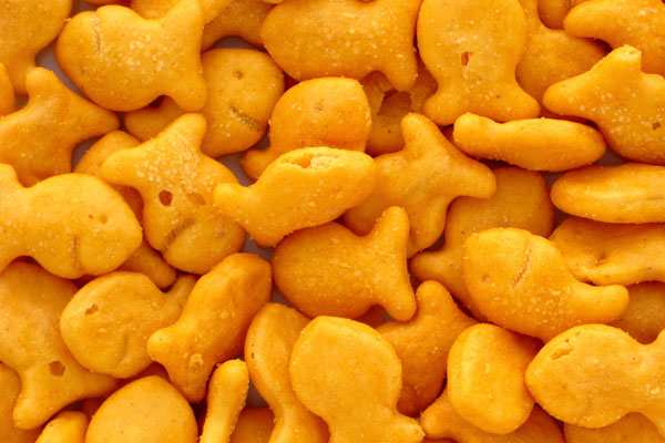 goldfish