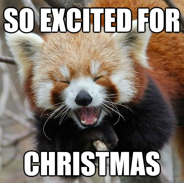 so-excited-for-christmas