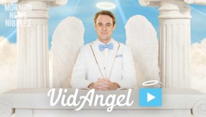 Vidangel