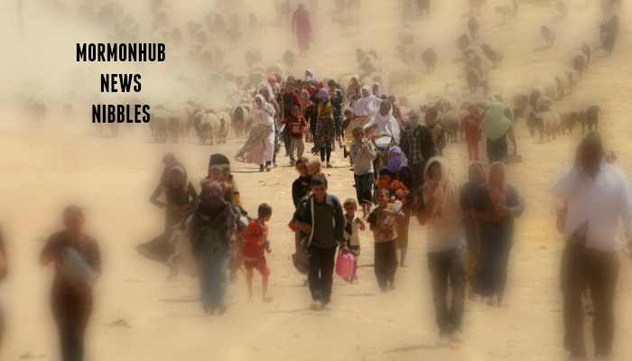 refugees news nibbles title graphic