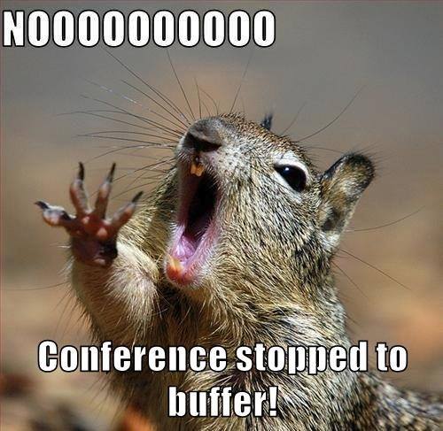 General Conference meme, squirrel
