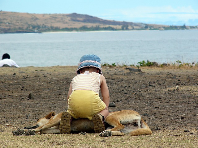 patient dog being squished by a small child