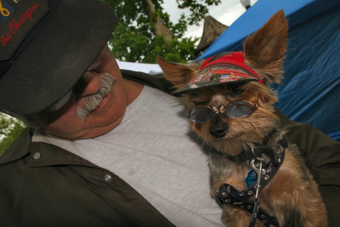 loving dog with owner