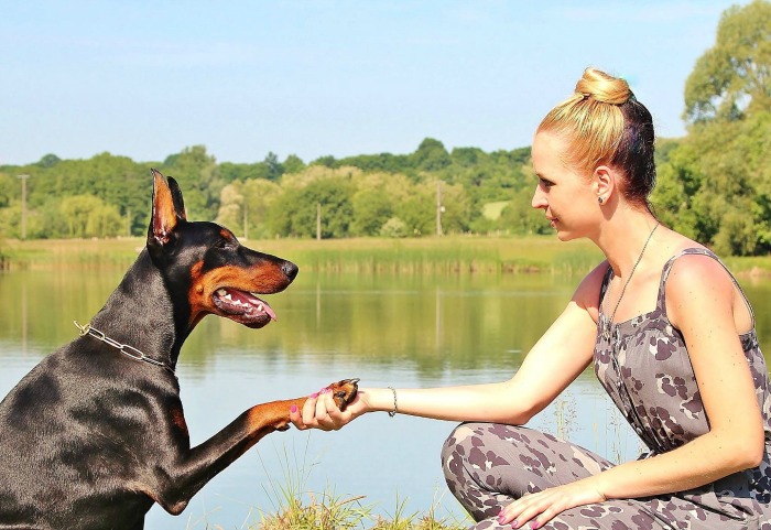 dog shakes a woman's hand