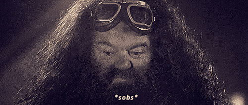 Hagrid Crying
