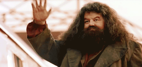 Hagrid Waving at Harry Potter on the Train as it leaves.
