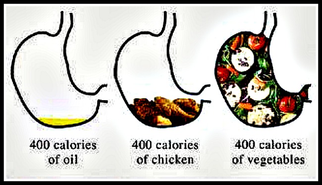 Info graphic for fad diets showing three Stomachs show 400 calories worth of juice, chicken and vegetables.