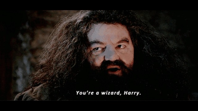 Hagrid saying "You're a wizard Harry"