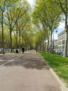 sidewalk in Versailles with tall green trees lining the sides