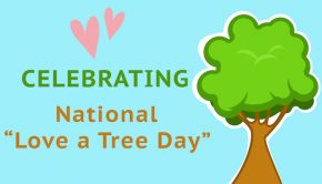 national love a tree day
