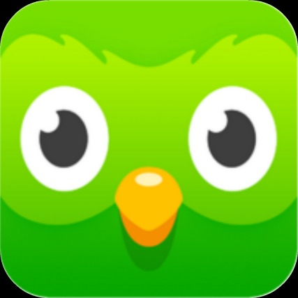 Duolingo Owl