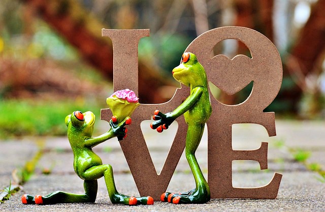 Frog Proposing to another Frog in front of a Love sign to signify what to do before you get married.