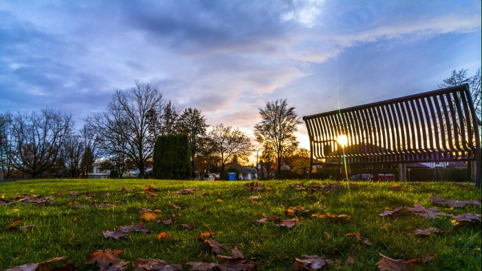 A park at sunset