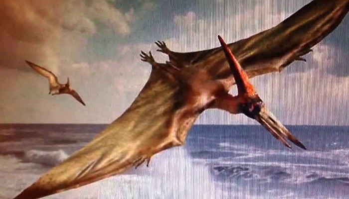 pterodactyl art