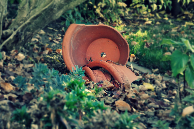 Broken flowerpot