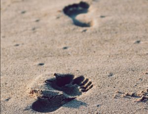 Two distinct footprints are seen in the sand in an apparent forward walking order