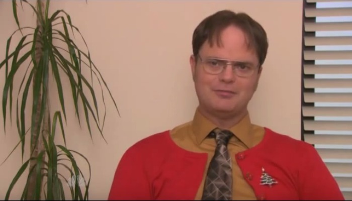 Rainn Wilson's character, Dwight Schrute from The Office